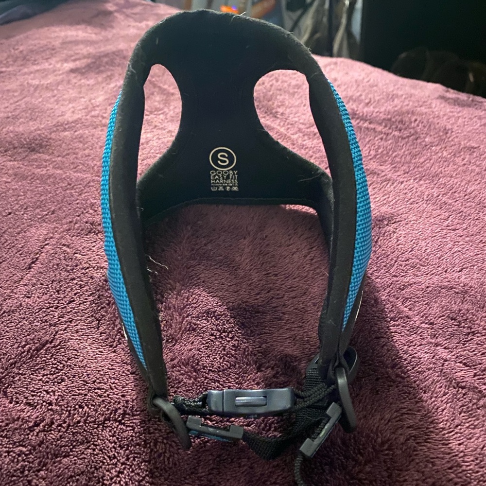 Blue Dog Harness
